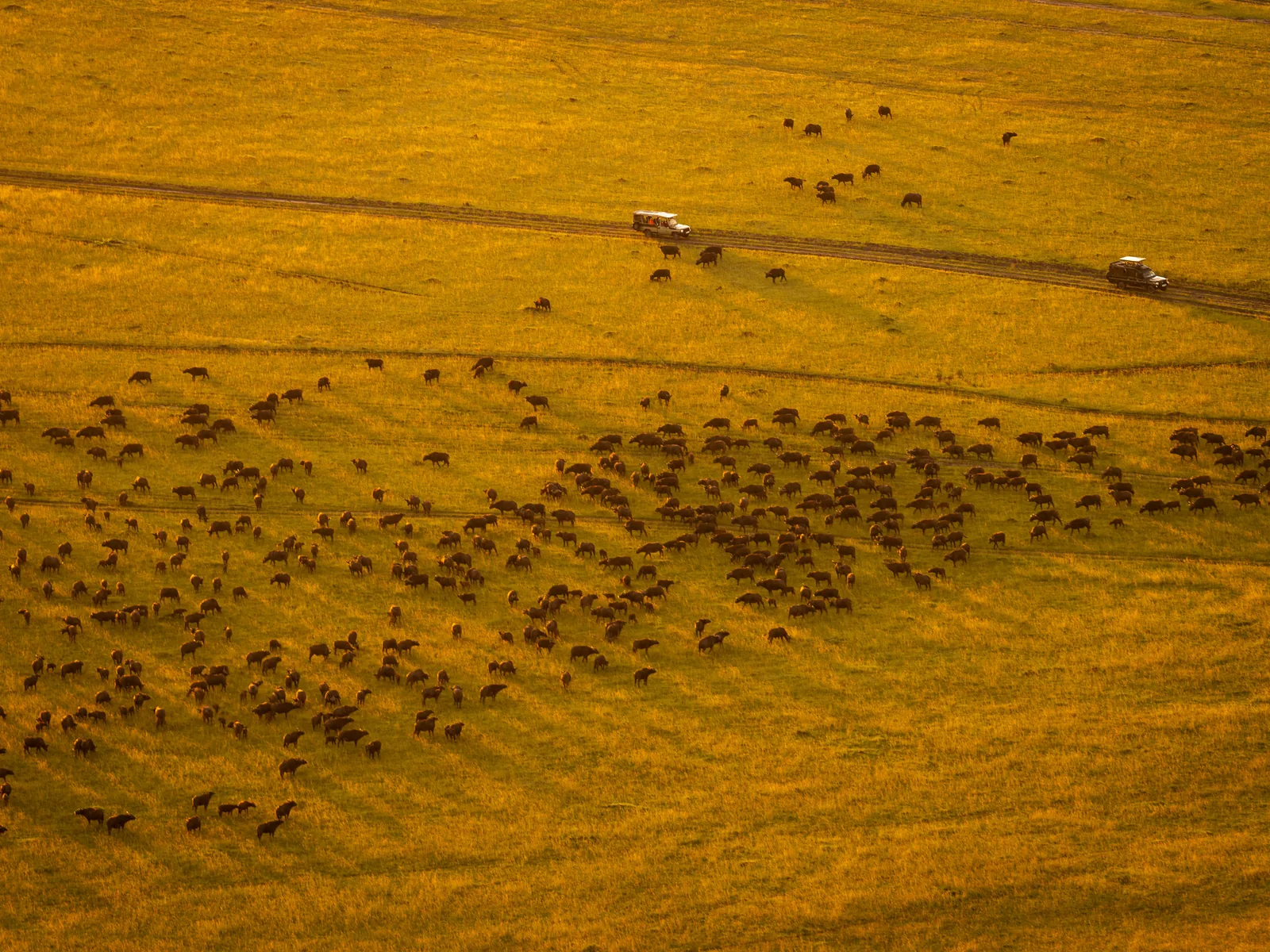 Great Migration