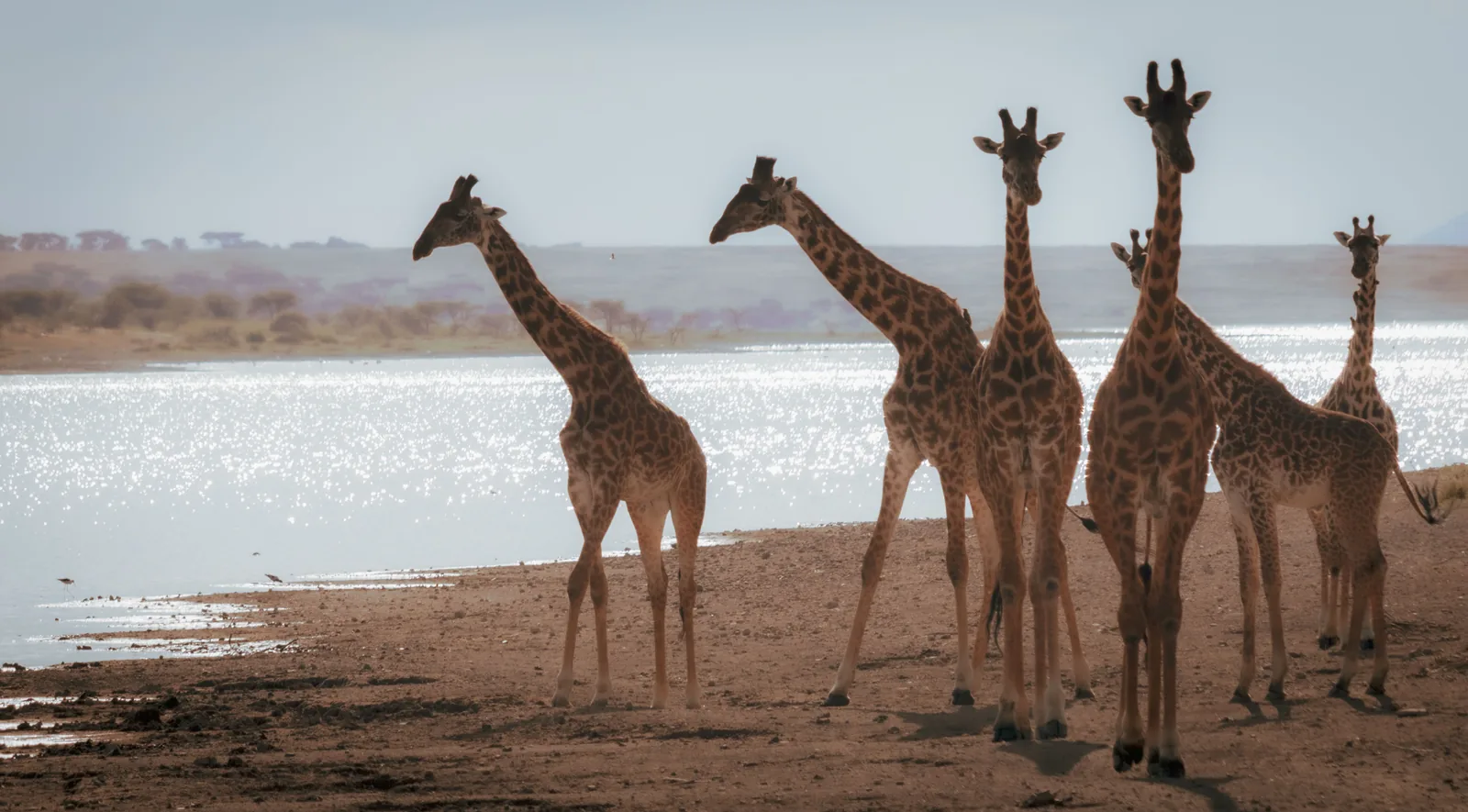 Lake Natron