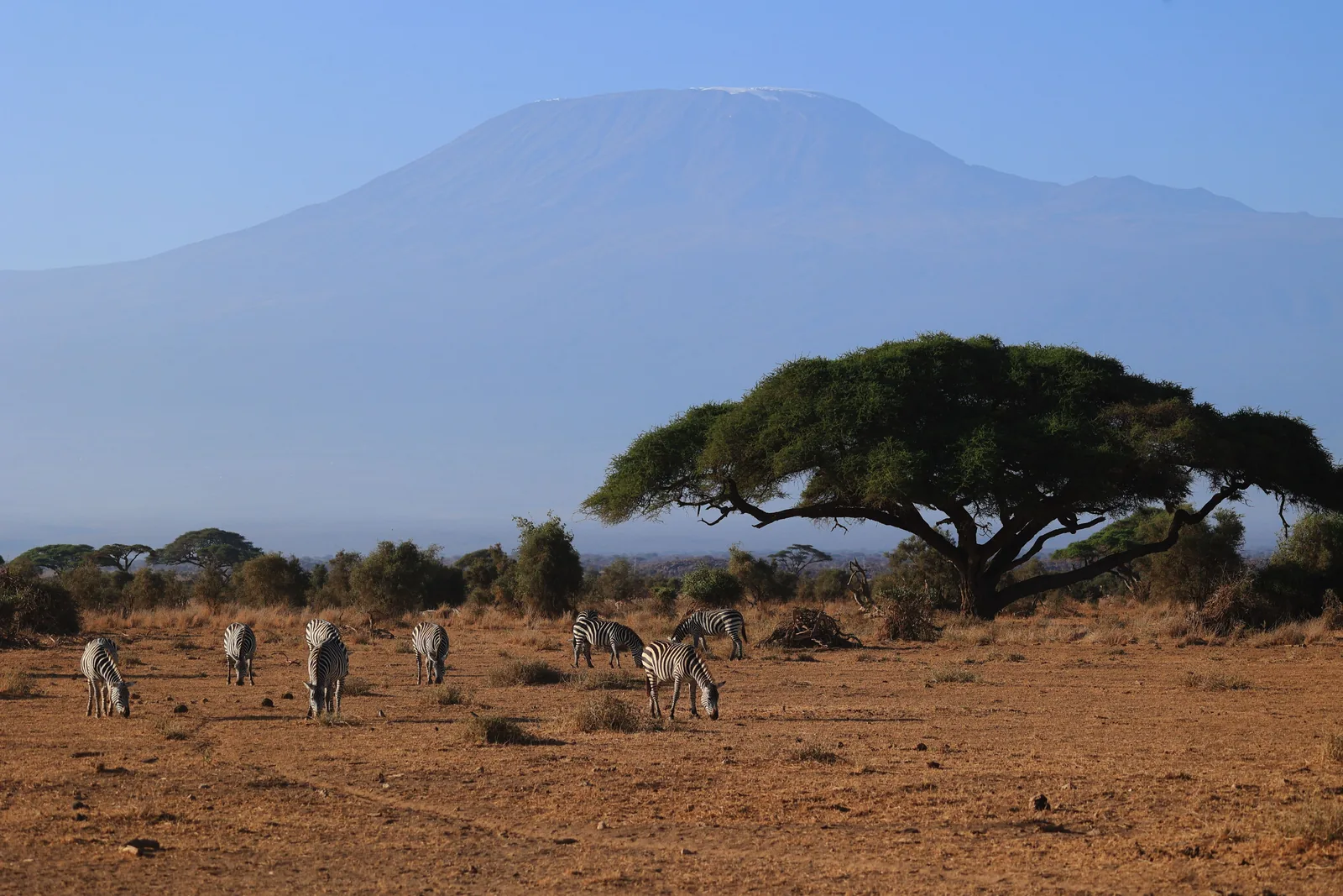 7-Day Mount Kilimanjaro Climbing Adventure Through Machame Route – Arusha Return