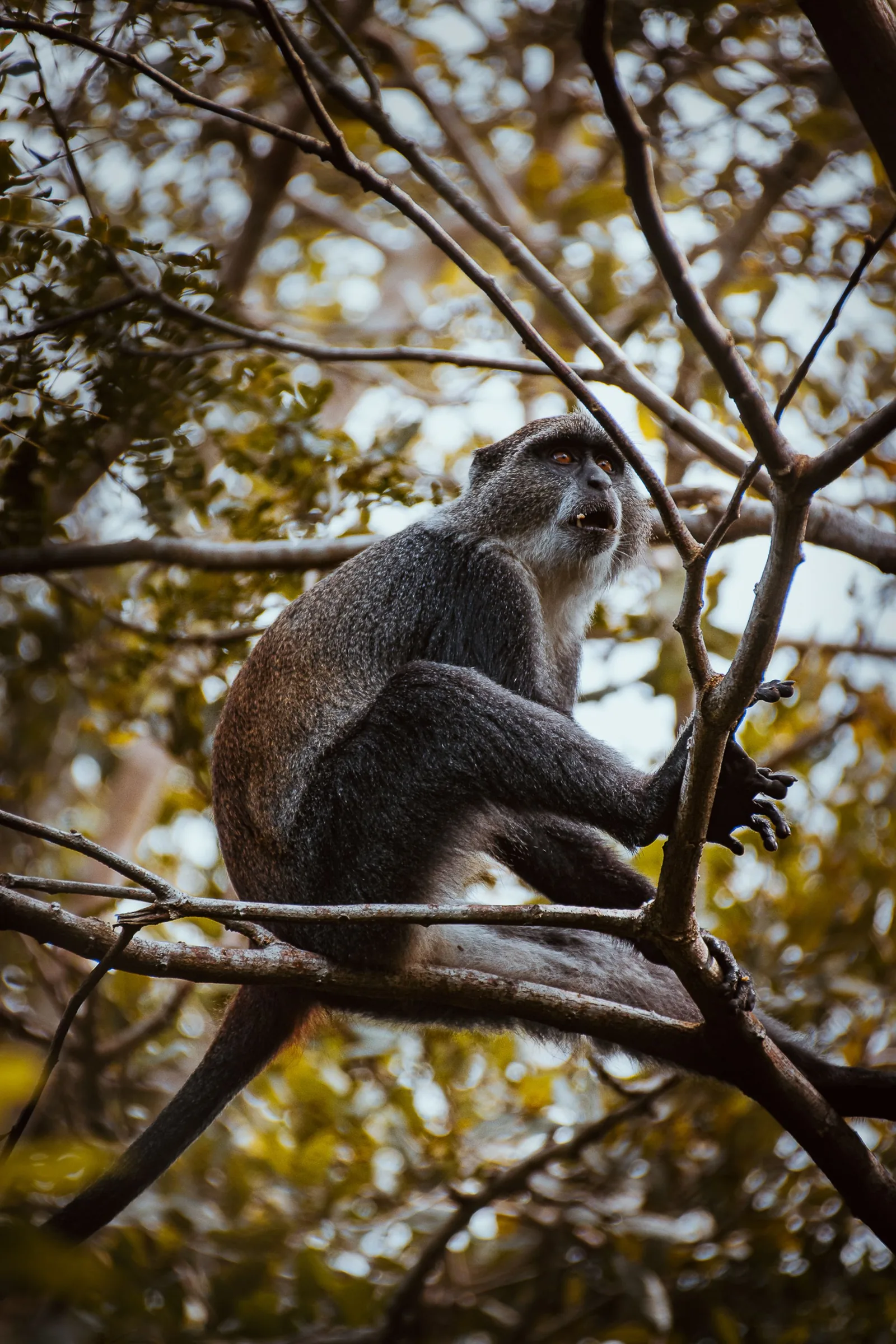 Lake Manyara National Park