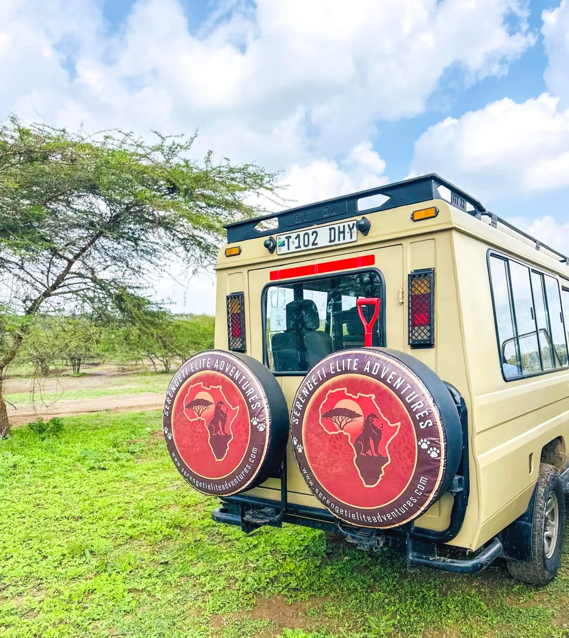 4-Day Private Safari Tour to Nyerere National Park – Dar es Salaam Return