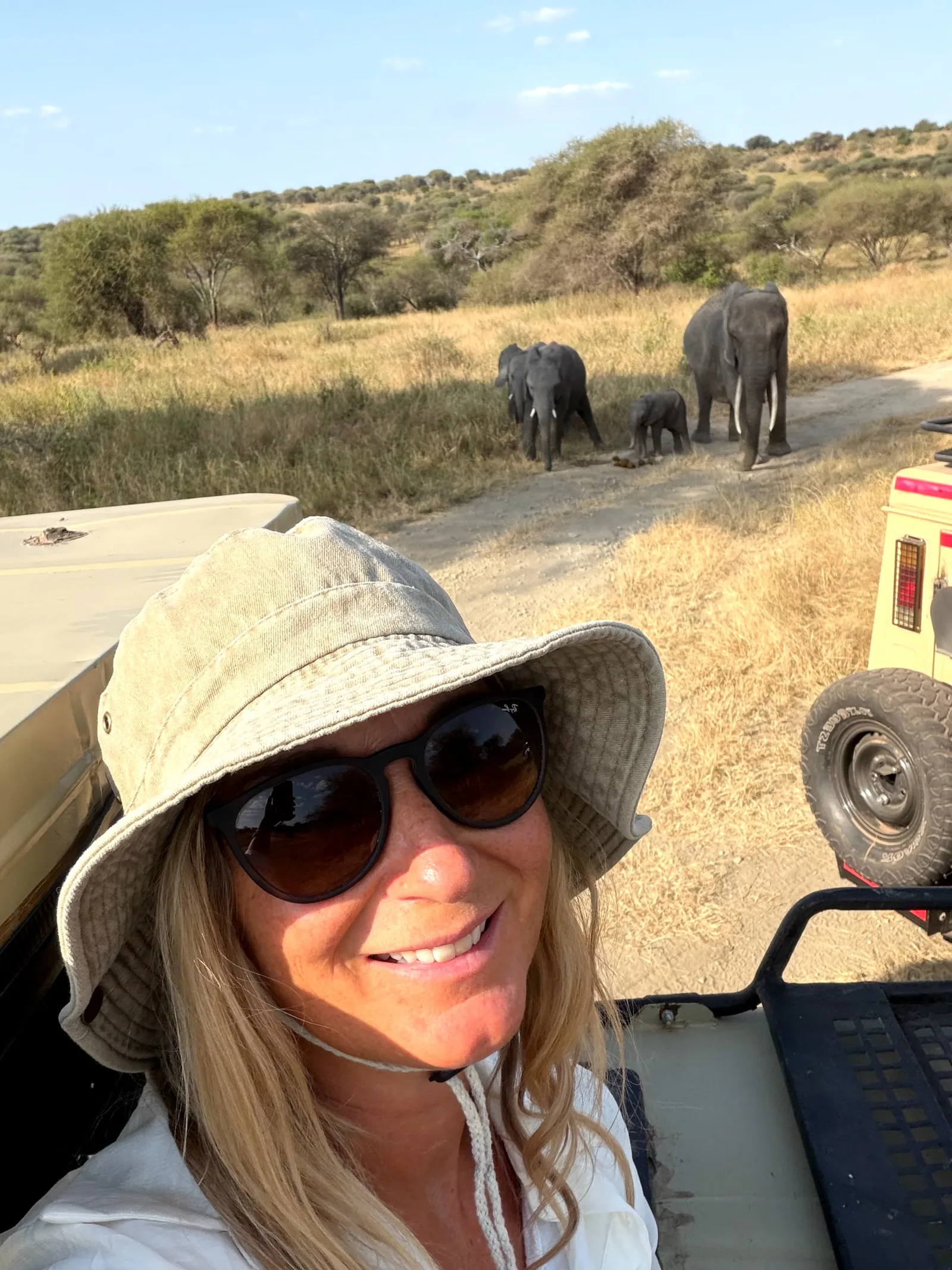 4-Day Fly-In Safari from Zanzibar to Serengeti, Ngorongoro & Tarangire – Zanzibar Return